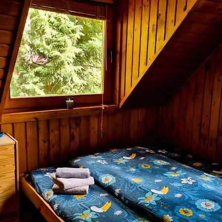 Tiny Wooden -covasna Chalet Reci