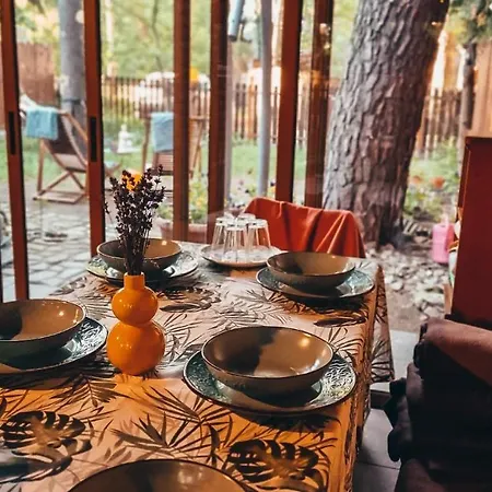Tiny Wooden -covasna Chalet Reci