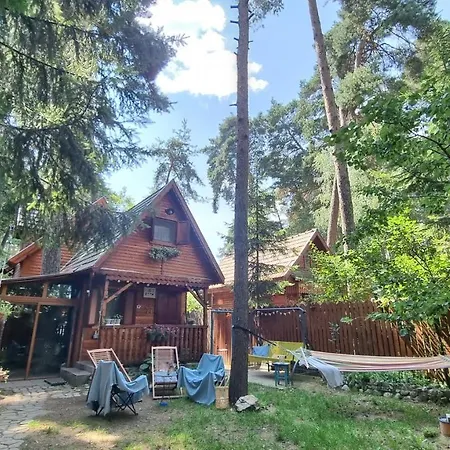 Tiny Wooden -covasna *