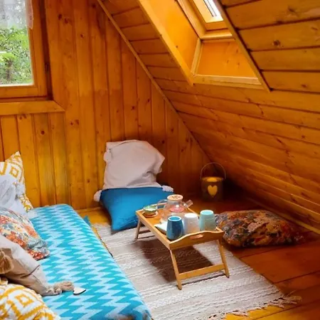 Tiny Wooden -covasna * Reci