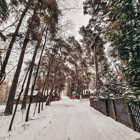 Tiny Wooden -covasna *