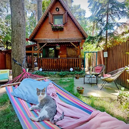 Chalet Tiny Wooden -covasna Reci
